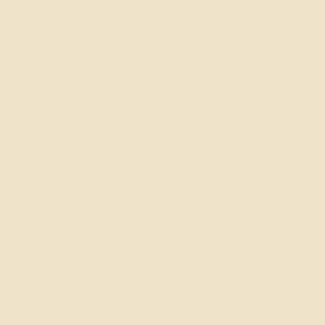 Hood Panel Decal/Sticker - Detroit Blue Graphic Kit - For Ford F-150 2020-2026 - Premium Vinyl